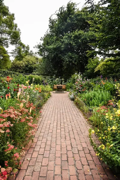 Creating a Thriving Spring Garden in AustraliaIllustration