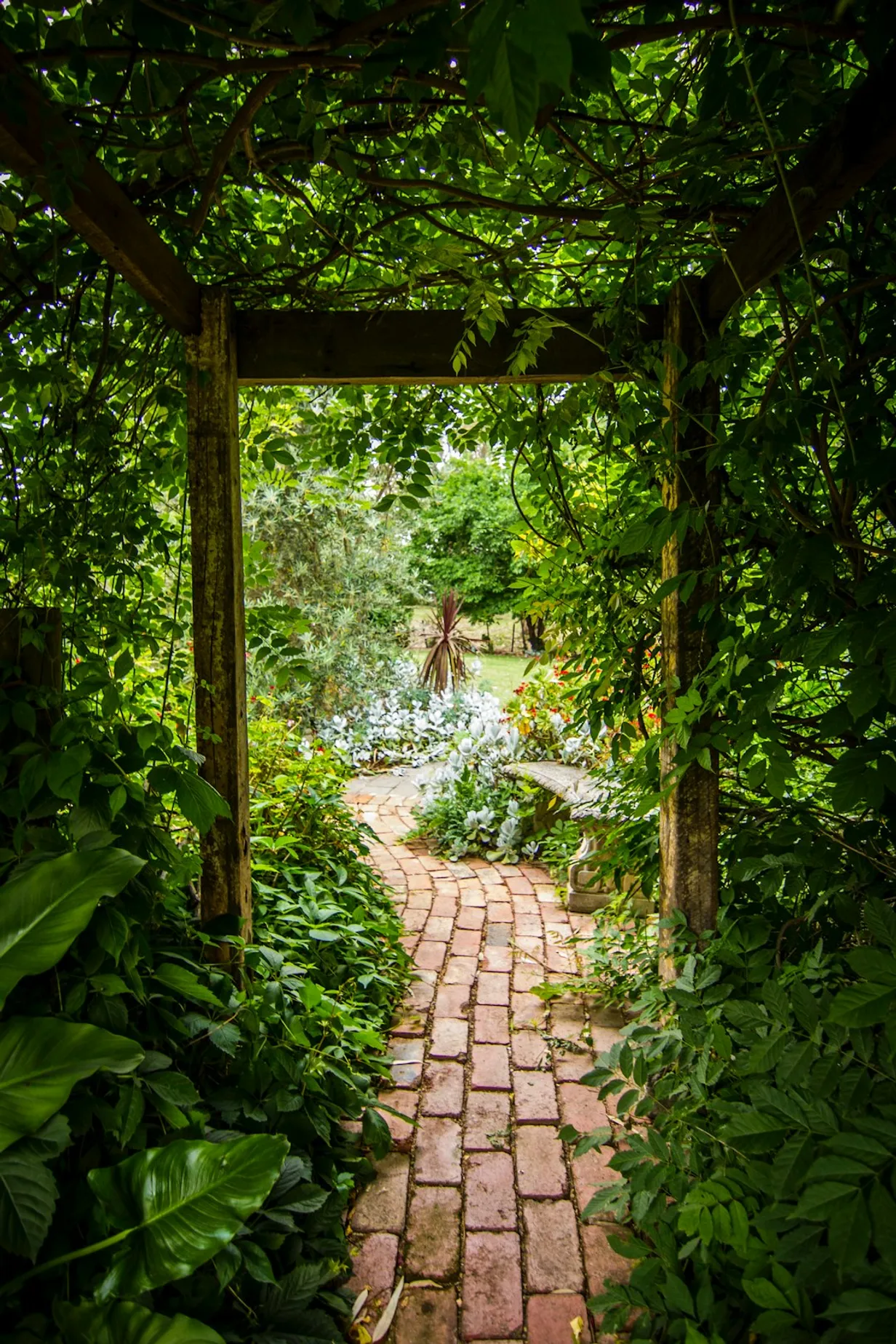 Designing Your Own Garden Pathway with Stepping StonesIllustration