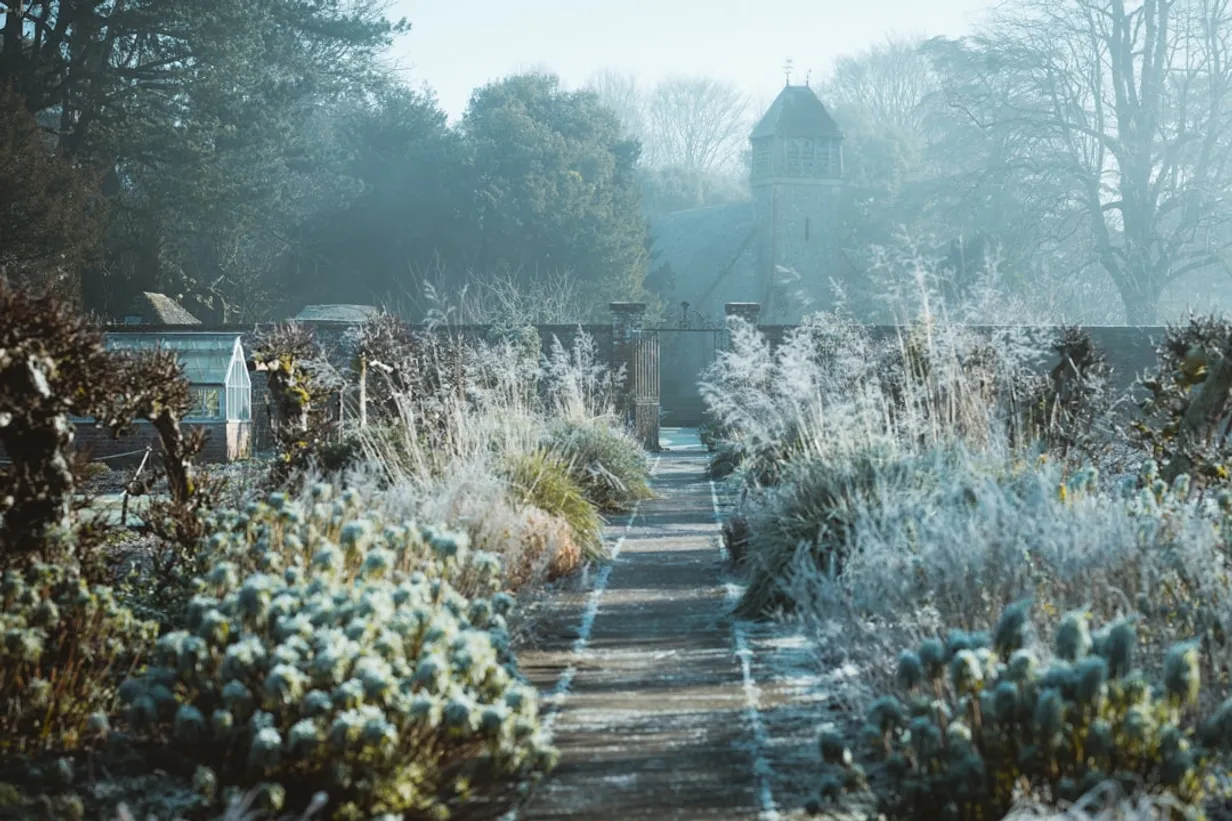 Maximizing Your Australian Winter GardenIllustration