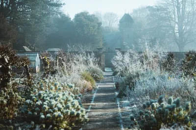 Maximizing Your Australian Winter GardenIllustration