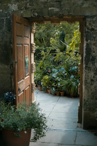 Transform Your Garden with Mid-Century Modern Design ElementsIllustration