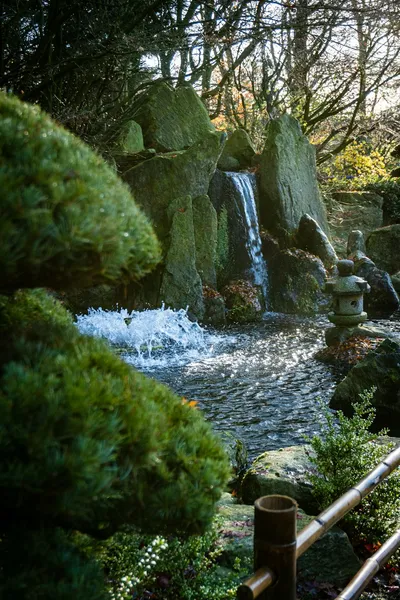 Essential Tips for Water-Wise Gardening in AustraliaIllustration