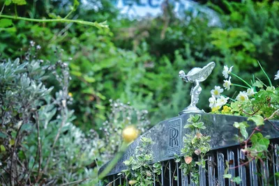 Upcycling Household Items for Unique Garden DecorationsIllustration
