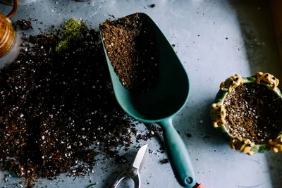 Understanding Soil Types: A Guide to Improve Your Australian GardenIllustration