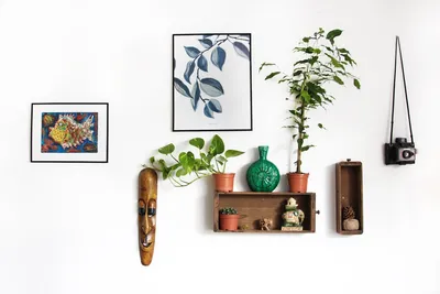 Artificial Plant Decor for Modern HomesIllustration