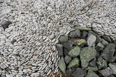Building a Low-Maintenance Rock Garden in Australian ClimatesIllustration
