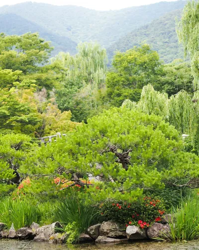 Growing Herbs at Home: A Guide for Australian GardenersIllustration